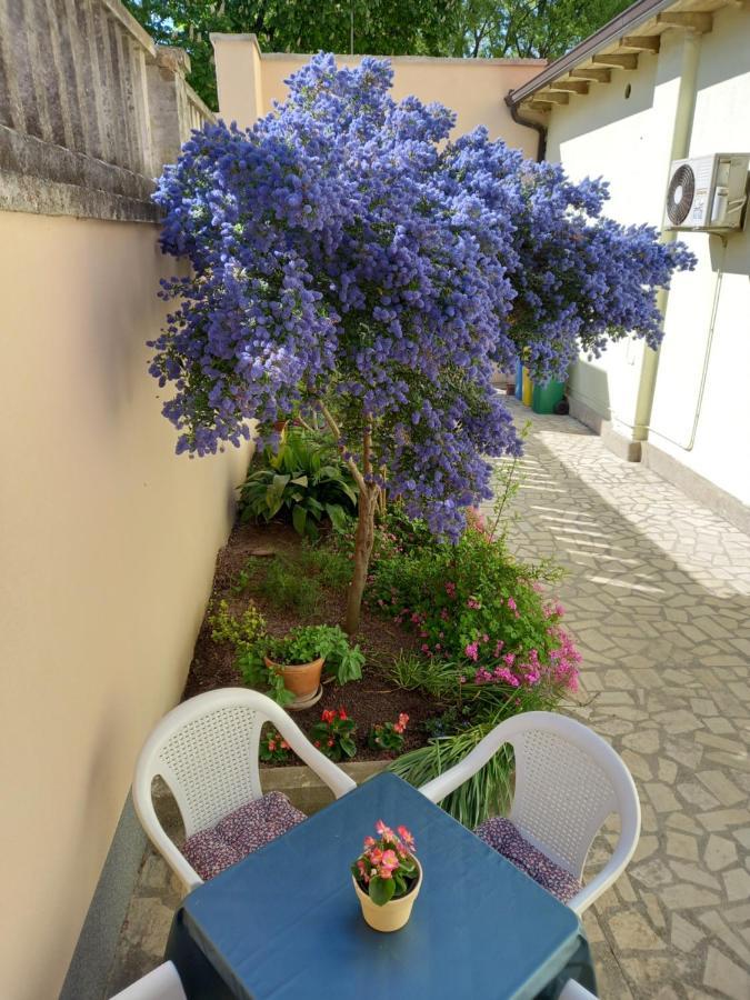 Apartment Punta Pula Extérieur photo